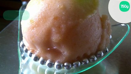 Sorbet au melon