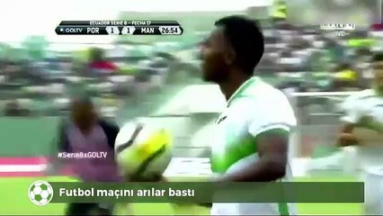 Futbol sahasını arılar bastı