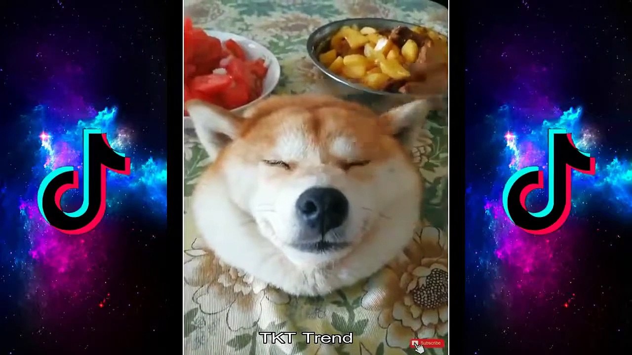 Funny Tik Tok Compilation 2021