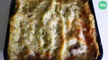 Lasagnes aux cèpes