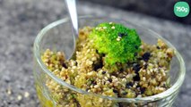 Pesto au brocoli