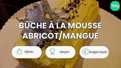 Bûche à la mousse abricot/mangue