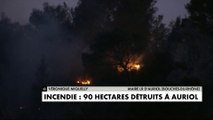 Incendie : 90 hectares détruits à Auriol