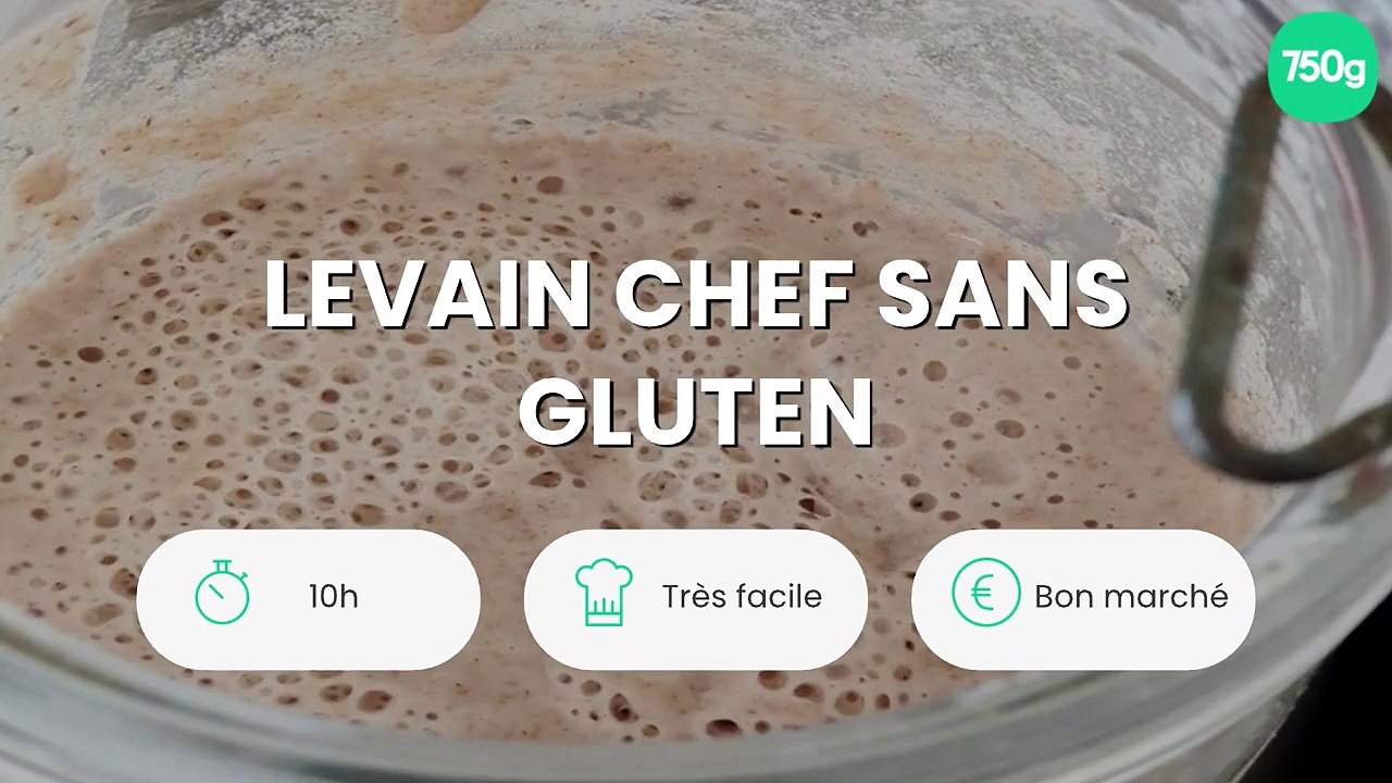 Levain chef sans gluten