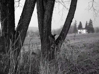 Night Of The Living Dead (1968)
