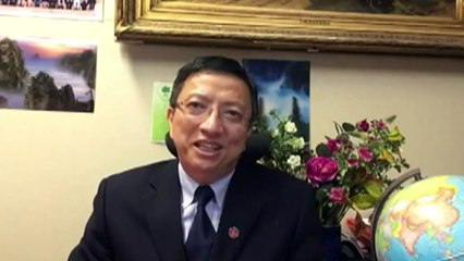 Former NSW Labor advisor disputes foreign interference claim