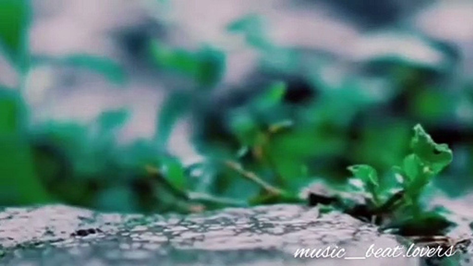 ⁣Nature : Travel: Ride | Hymn for the weekend | Music Beat Lovers