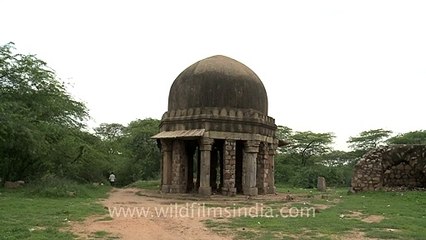 Historical monument - Sultan Ghari in Delhi