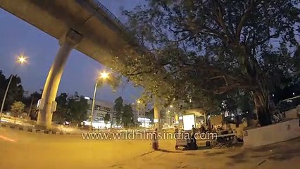 Life in a Metro_ Under the Kailash Colony Metro Station