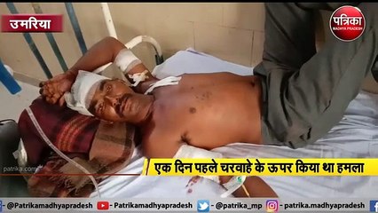 जंगल में आग बुझाने गए चौकीदार पर बाघ ने किया हमला