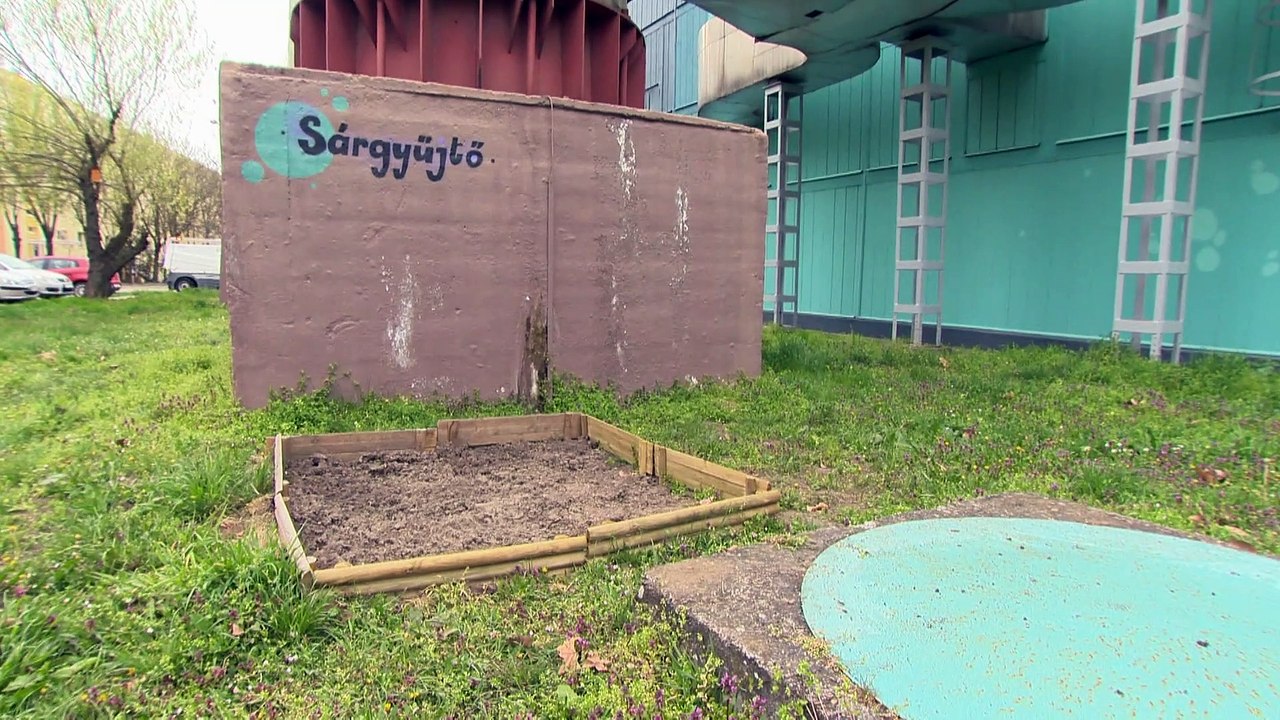 Sauver les hirondelles et les abeilles, un projet de quartier à Szeged en Hongrie