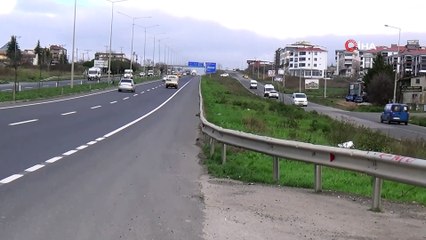 Aç kalan fareler Tekirdağ-İstanbul çevre yolunu bastı