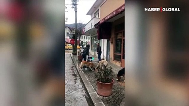 Sosyal medyada tartışma yaratan görüntüler