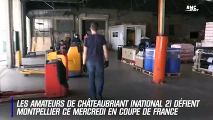 Coupe de France : Les Voltigeurs de Châteaubriant face à la montagne Montpellier
