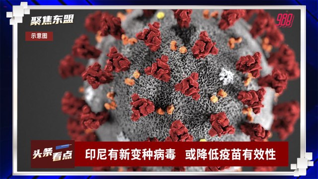 【聚焦东盟 08-04-21】印尼有新变种病毒 或降低疫苗有效性