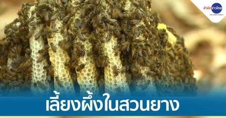 ข่าวเที่ยง (ช่วงที่ 3) วันพุธที่ 7 เมษายน 2564