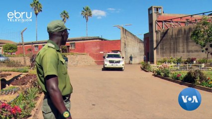Zimbabwe Activist Makomborero Haruzivishe Jailed For Blowing Whistle