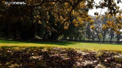 Napoli: "contagiati" solo dalla bellezza al centro di vaccinazione di Capodimonte