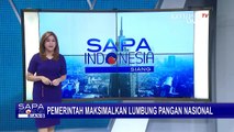 3 Menteri dan Kepala KSP Moeldoko Tinjau Lokasi Lumbung Pangan Nasional di Kalimantan Tengah