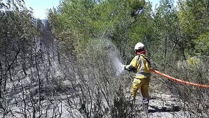 Les pompiers sur place ce mercredi midi à Auriol