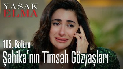 Şahika'nın timsah gözyaşları - Yasak Elma 105. Bölüm