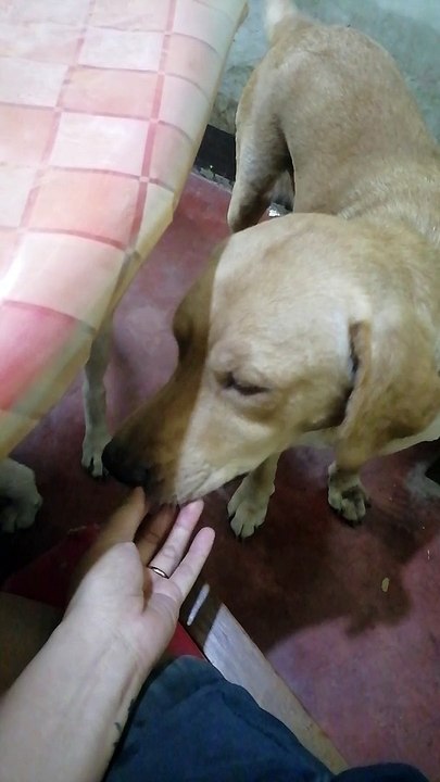 Namit