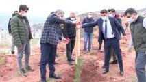 TUNCELİ KADINA YÖNELİK ŞİDDETE KARŞI 262 FİDAN DİKİLDİ