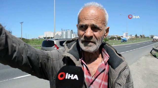 Aç kalan fareler Tekirdağ-İstanbul çevre yolunu bastı