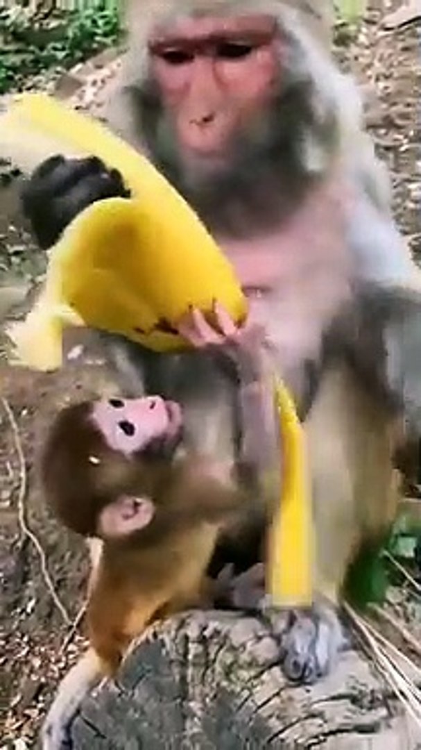 Best videos, Top videos, Viral videos Funny videos no. 45