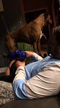 Dog Enjoys Delightful Massage