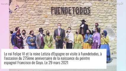 Letizia d'Espagne de retour à Madrid : look graphique printanier et mèches grises assumées