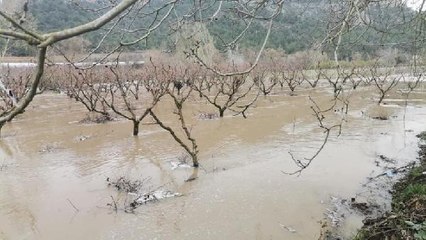 BİLECİK'TE ŞİDDETLİ YAĞIŞ TARIM ARAZİLERİNİ VURDU