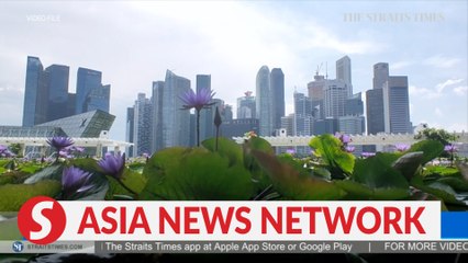 The Straits Times | Are Singapore's attractions too touristy?
