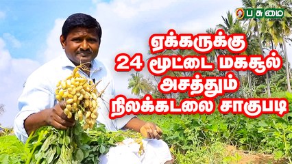 நல்ல வருமானம் தரும் நிலக்கடலை சாகுபடி!