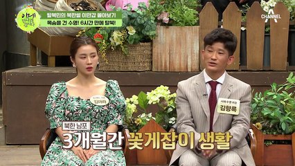 [#이만갑모아보기] 목숨을 건 수영 탈북! 강력해진 해상 경비로 발각 즉시 사망?!