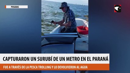 Capturaron un surubí de un metro en el Paraná