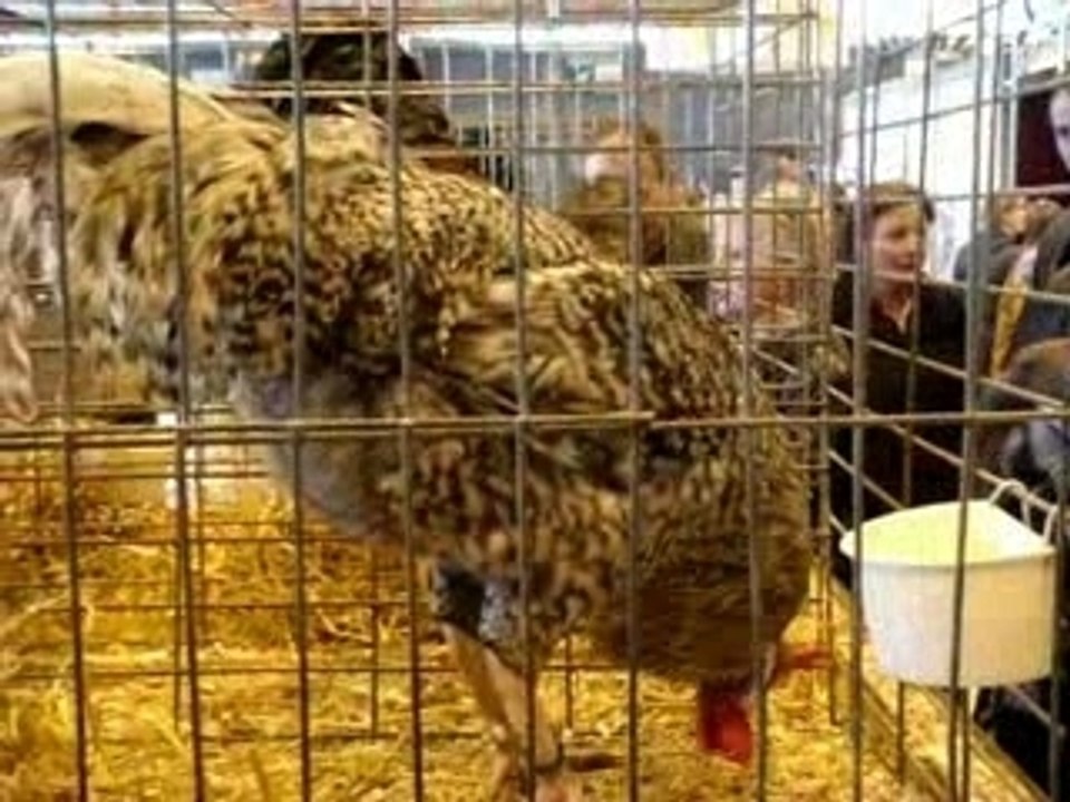 Salon_agriculture_08