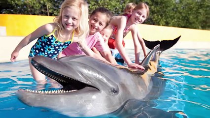 Pregnant Girls Pranks - Best Of Just For Laughs Gags