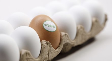 Sustainable Food Labels: What They Mean — and What They Don't