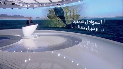 نيويورك تايمز  تكشف تفاصيل عن طبيعة مهمة سفينة سافيز