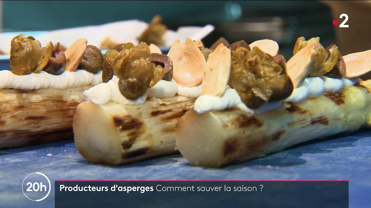 Landes : les producteurs d'asperges espèrent sauver leur saison