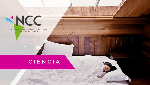 ¿Por qué soñamos y qué significan los sueños?