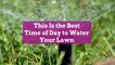 This Is the Best Time of Day to Water Your Lawn