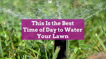 This Is the Best Time of Day to Water Your Lawn