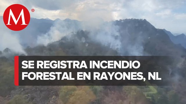 Se registra nuevo incendio forestal en Nuevo León, ahora en Rayones