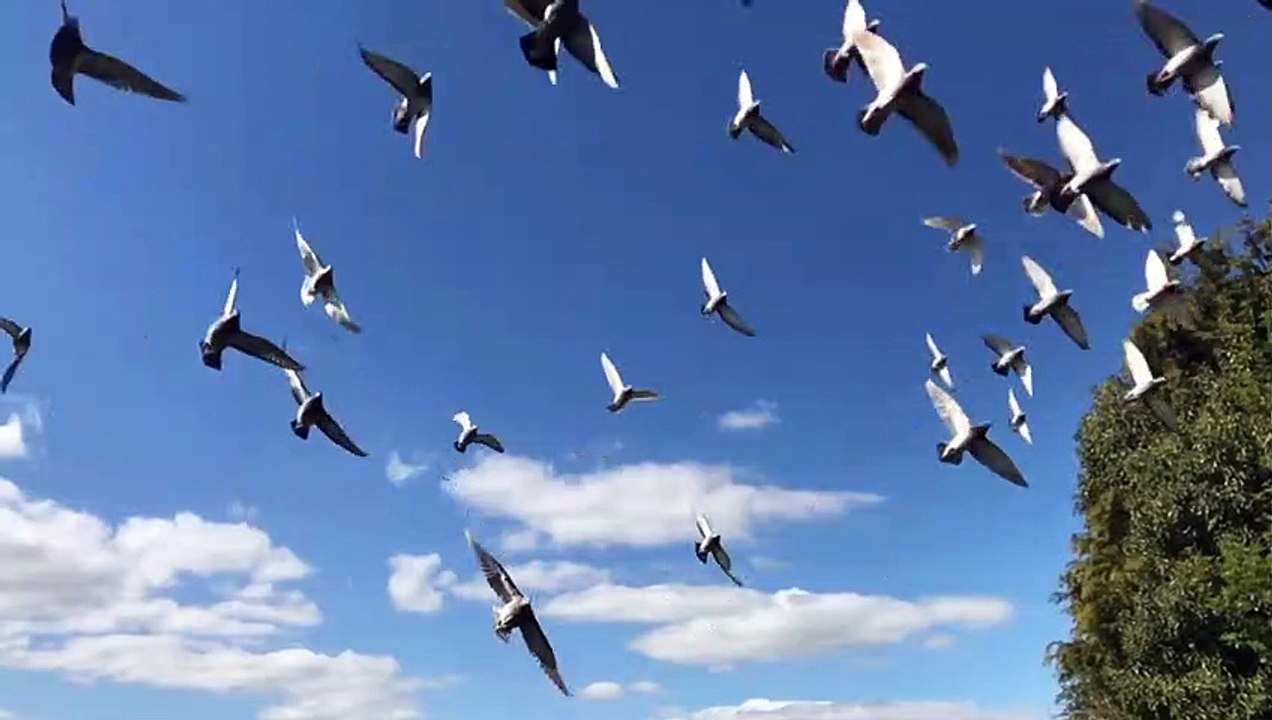 Beautiful