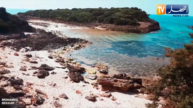 سافر معنا.. الطارف