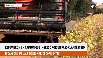 Otro golpe al contrabando de soja en Misiones  retuvieron un camión que ingresó por un paso clandestino