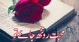 Very Heart Touching Love Urdu Ghazal Poetry | Mohabbat rooth jaye to | Love Urdu Poetry