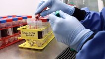 European regulator finds possible link to blood clots